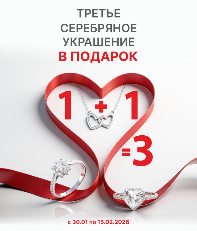 1+1=3 на серебро