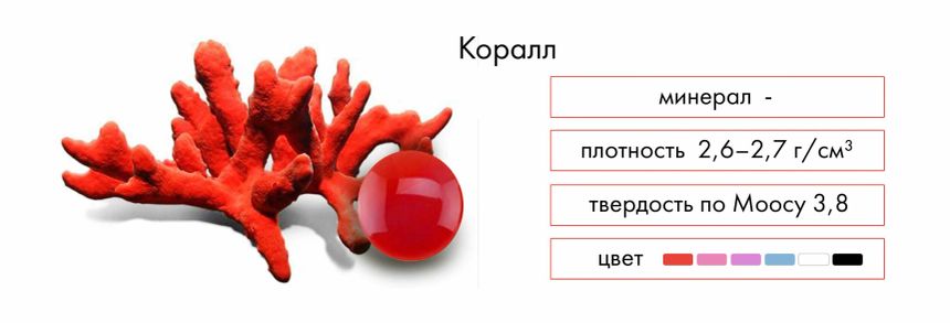 История происхождения камня коралл